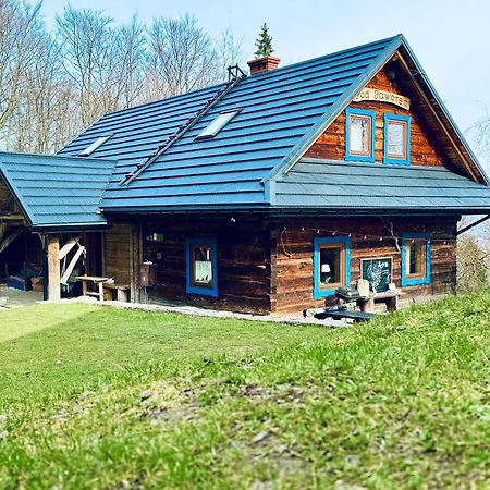 Chata Pod Jaworem Wisła Esterno foto